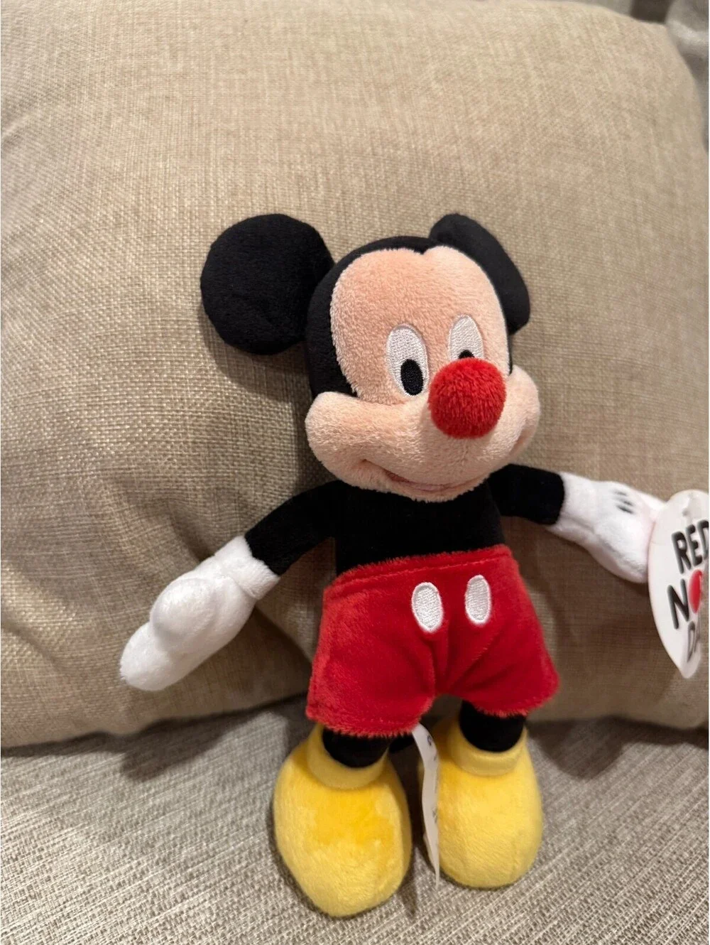 Disney official mickey